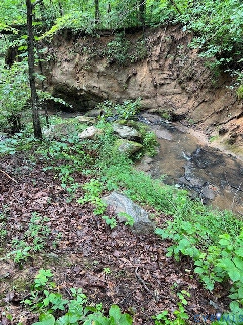 Natural wooded terrain featuring a flowing stream and exposed rock formations