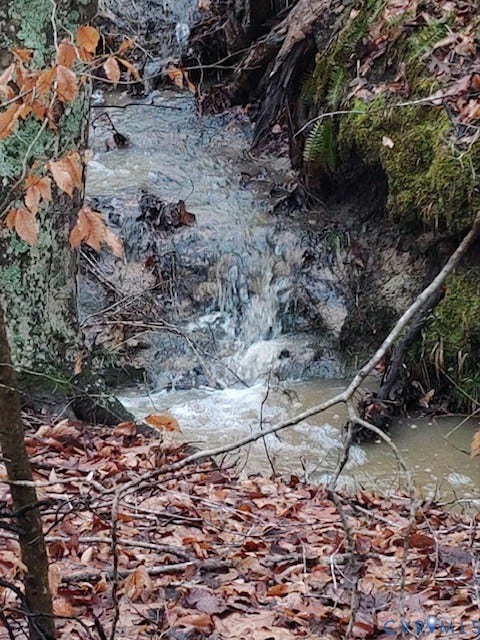 Natural water feature with a flowing stream and surrounding foliage