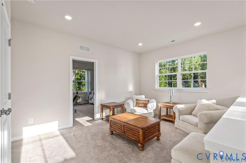 9119 Moldova Road, Haynes Bridge, Chesterfield, VA 23832 Loft, sitting area