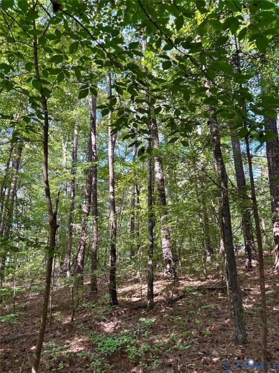 300 Happy Trail, Blackstone, VA 23824 300 Happy Trail, Blackstone, VA 23824