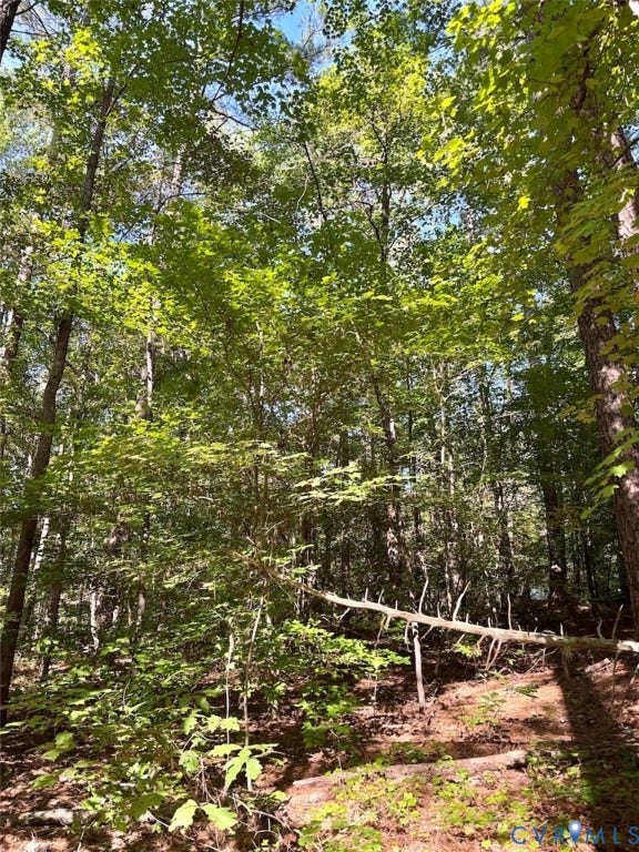 300 Happy Trail, Blackstone, VA 23824 300 Happy Trail, Blackstone, VA 23824