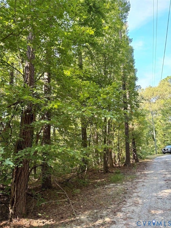 300 Happy Trail, Blackstone, VA 23824 300 Happy Trail, Blackstone, VA 23824