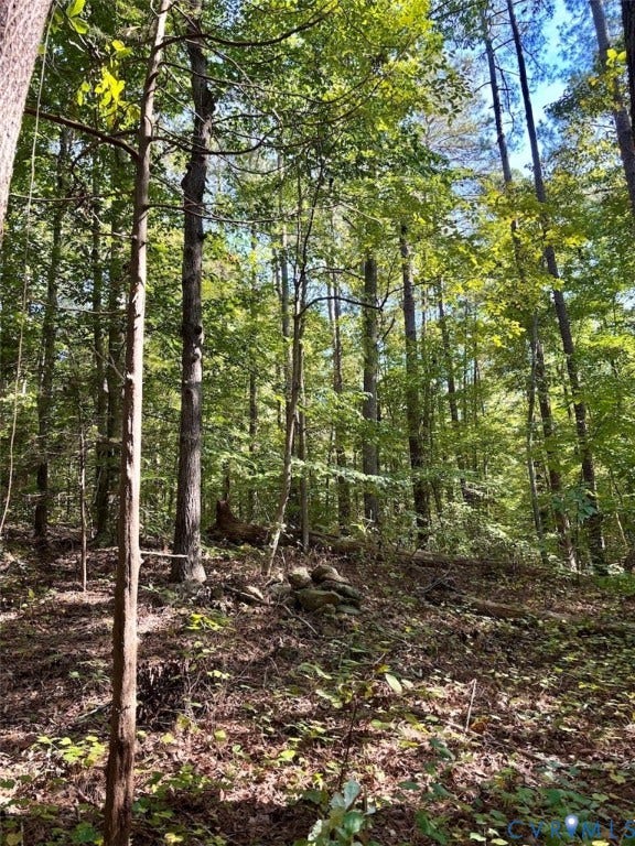 300 Happy Trail, Blackstone, VA 23824 300 Happy Trail, Blackstone, VA 23824