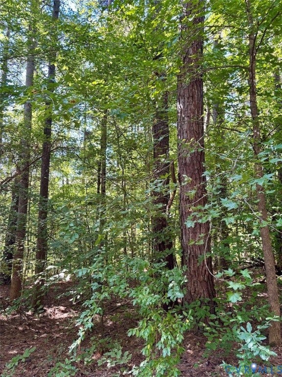 300 Happy Trail, Blackstone, VA 23824 300 Happy Trail, Blackstone, VA 23824