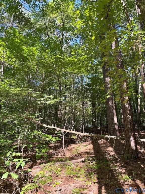 300 Happy Trail, Blackstone, VA 23824 300 Happy Trail, Blackstone, VA 23824