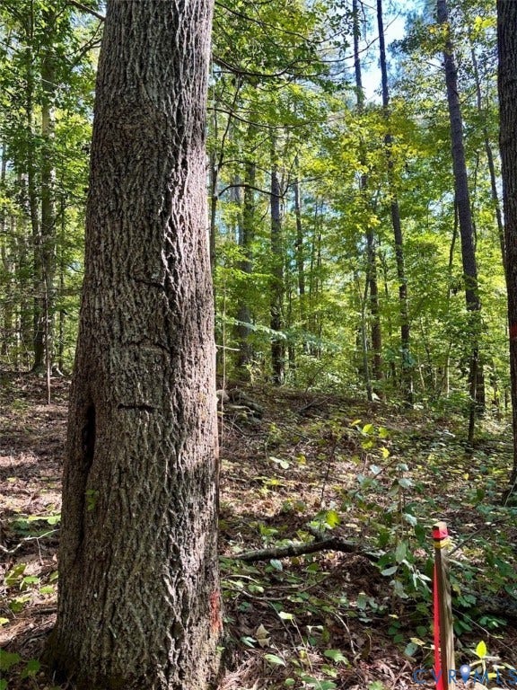 300 Happy Trail, Blackstone, VA 23824 300 Happy Trail, Blackstone, VA 23824