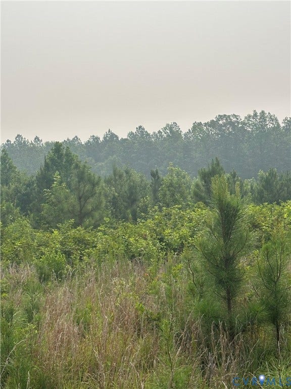 Potential Area for Food Plot!