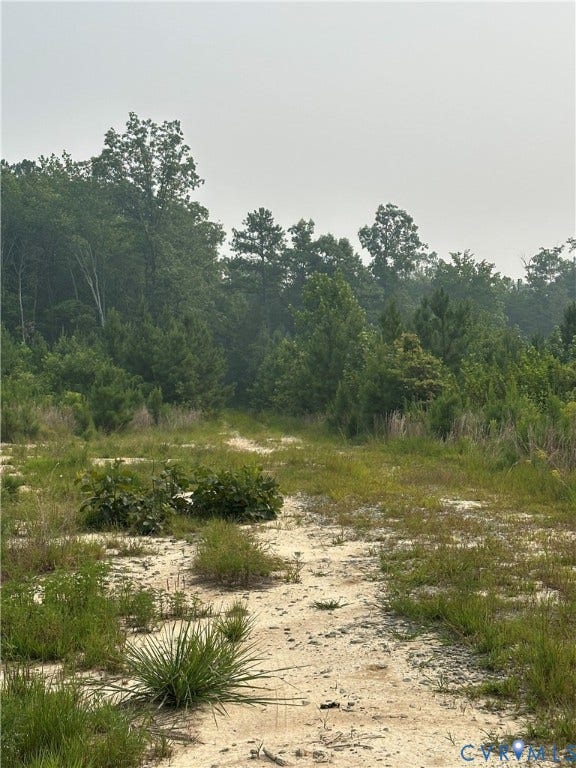 View of Old Logging Deck. Ready for your food plot and Stand.