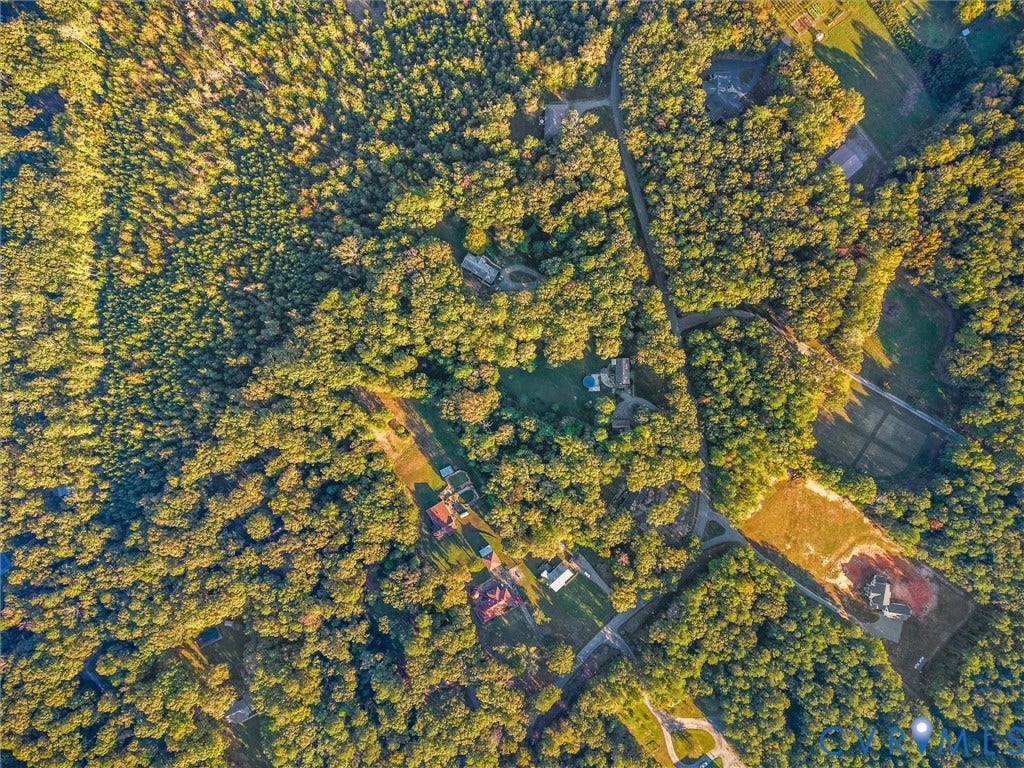 8251 Old Roxbury Road, Quinton, VA 23141 Aerial perspective of a sprawling wooded lot featuring extensive tree coverage, open clearing spaces, and winding access roads