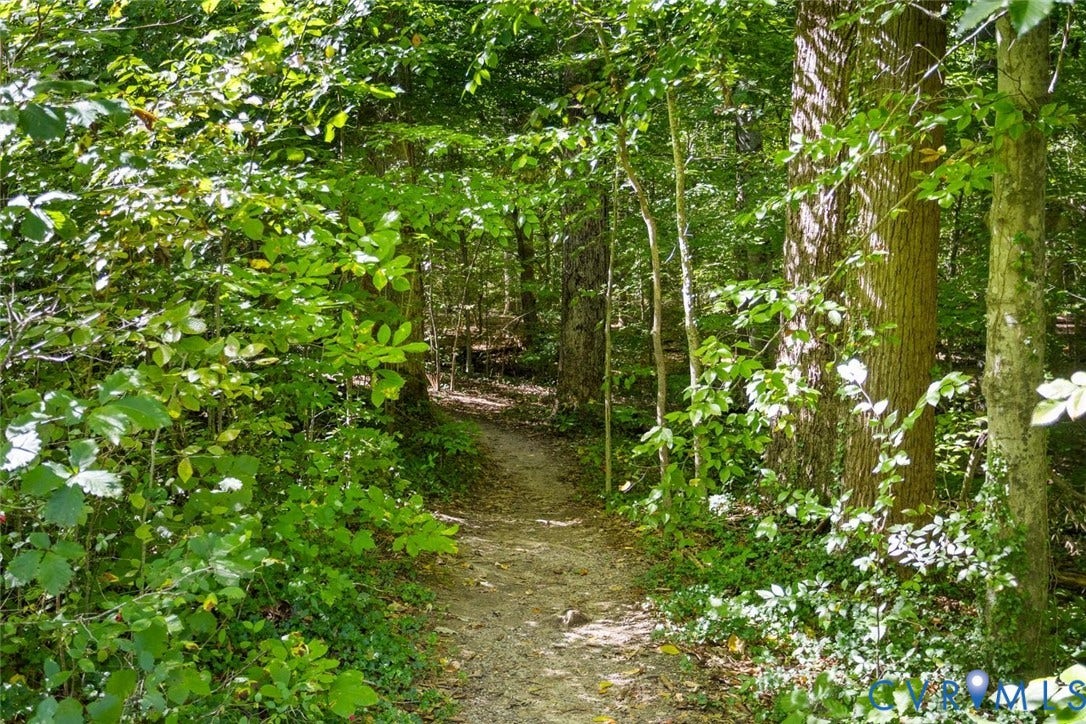 9013 Old Holly Road, Southhampton, Richmond, VA 23235 Wooded property featuring a natural ground path, mature trees, and dense foliage