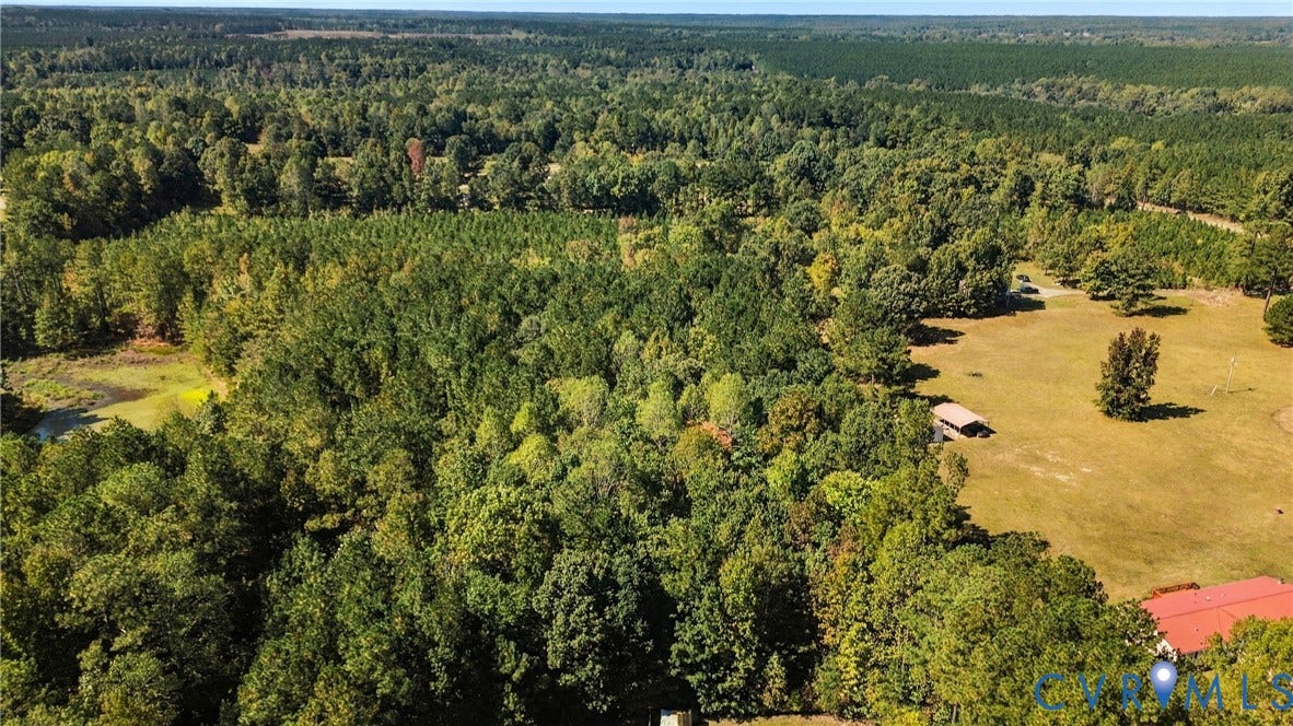8211 Brills Road, Dinwiddie, VA 23872 Expansive acreage featuring mature trees, open clearings, and a water feature