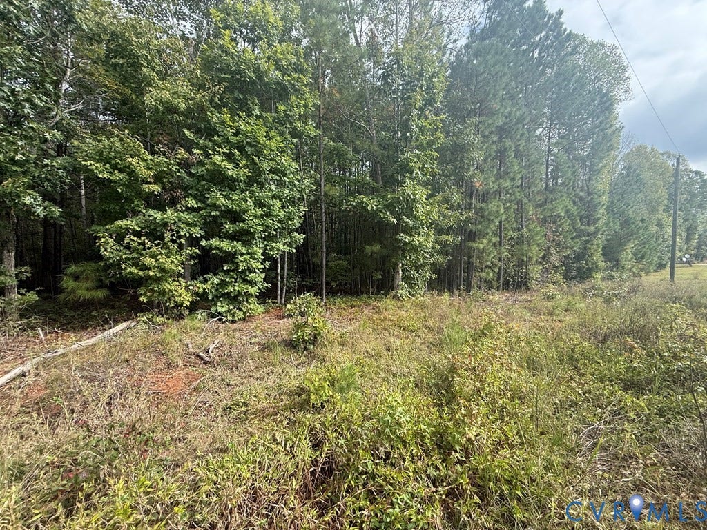 13.52 Westpoint Stevens Road, Drakes Branch, VA 23937