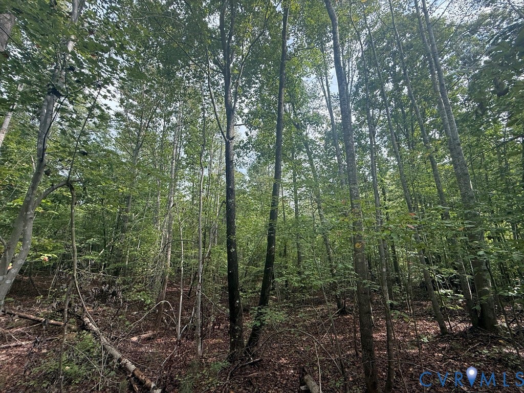 13.52 Westpoint Stevens Road, Drakes Branch, VA 23937