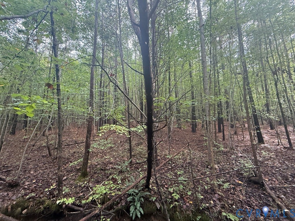 13.52 Westpoint Stevens Road, Drakes Branch, VA 23937
