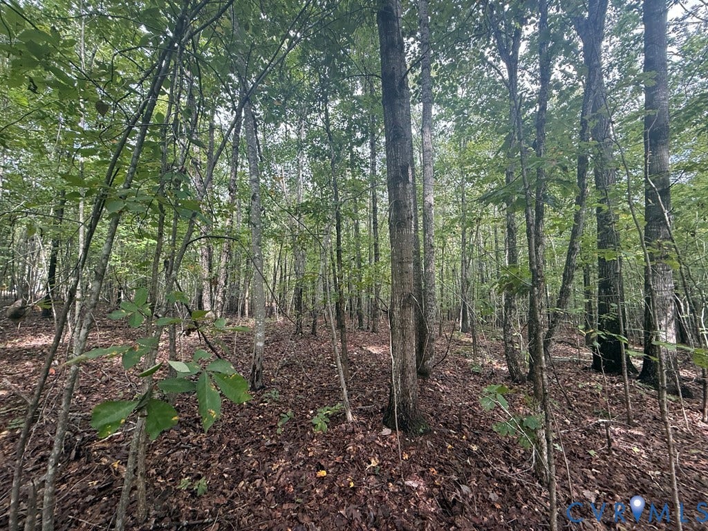13.52 Westpoint Stevens Road, Drakes Branch, VA 23937