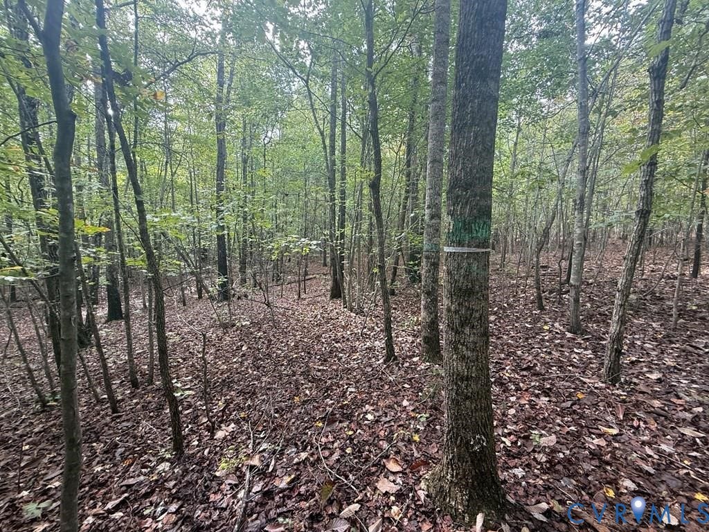 13.52 Westpoint Stevens Road, Drakes Branch, VA 23937