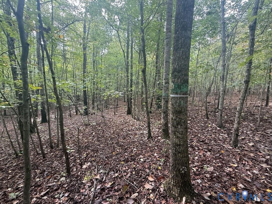 Property photo for 13.52 Westpoint Stevens Road, Drakes Branch, VA
