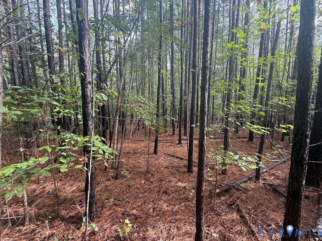13.52 Westpoint Stevens Road, Drakes Branch, VA 23937