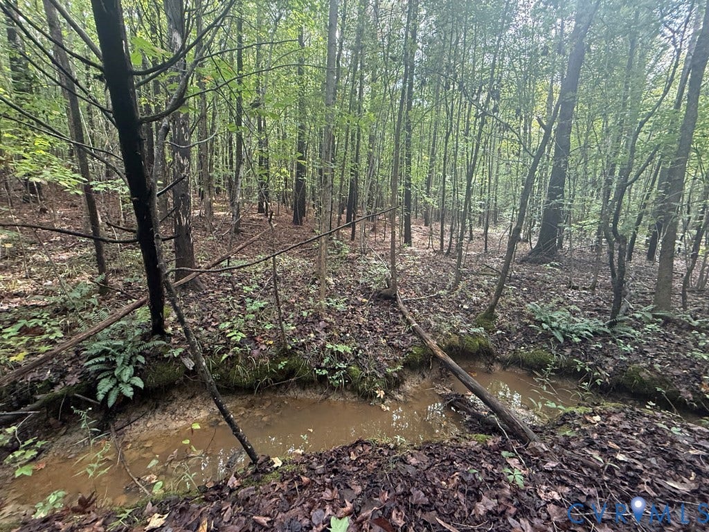 13.52 Westpoint Stevens Road, Drakes Branch, VA 23937