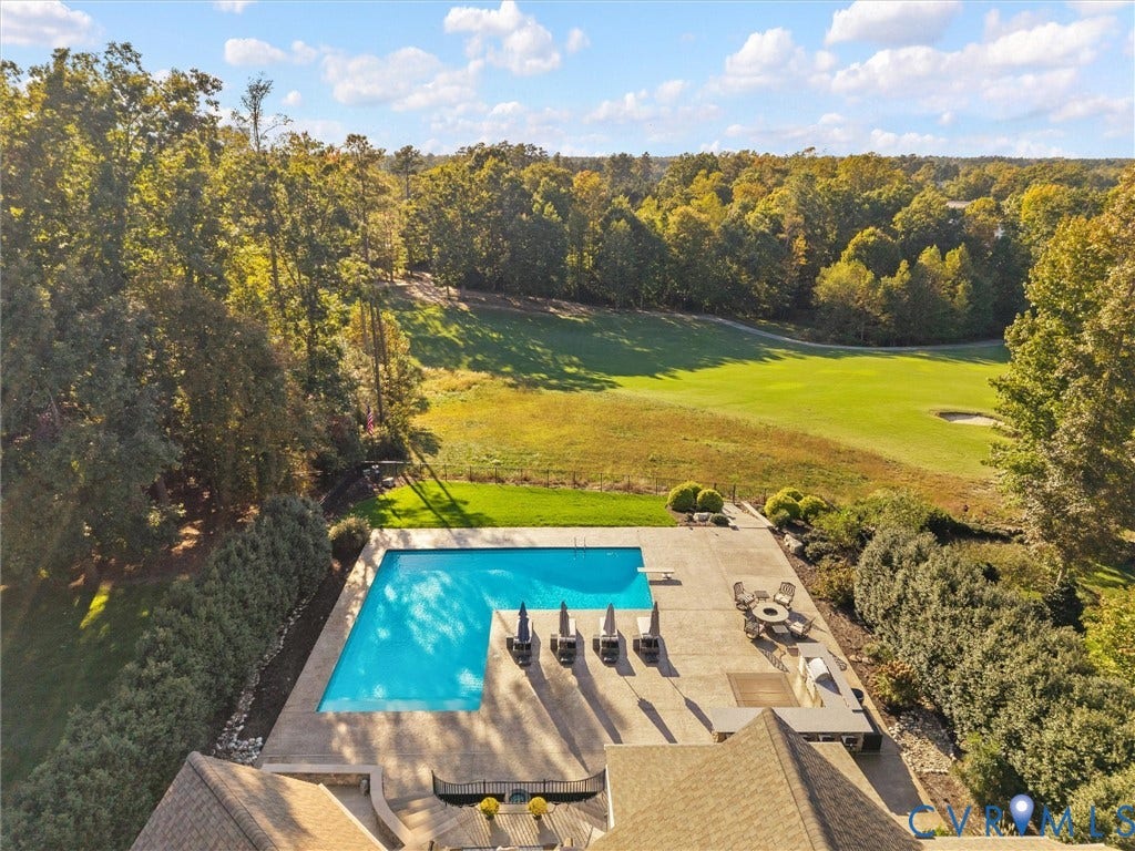 7750 Rock Cress Place, Chesterfield, VA 23120 L-shaped swimming pool with a diving board, stamped concrete patio, and built-in outdoor kitchen, overlooking a manicured lawn and mature tree-lined horizon
