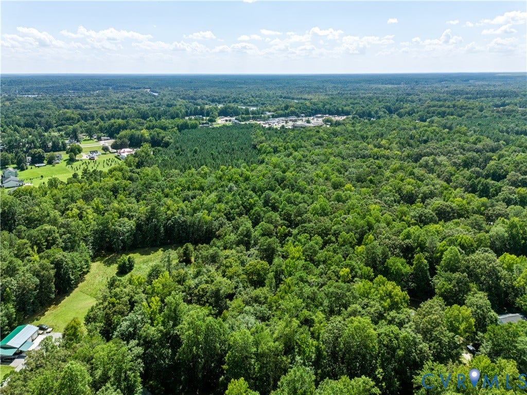 Expansive wooded acreage with a cleared pathway and distant structures