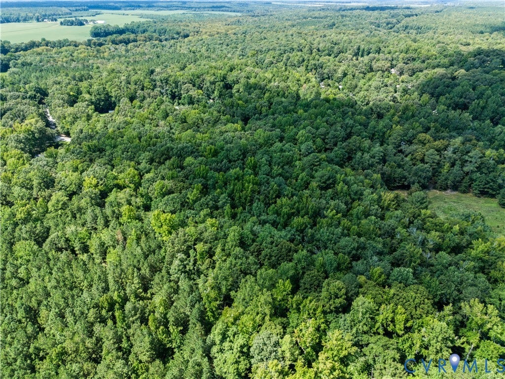 Expansive wooded landscape featuring a natural clearing