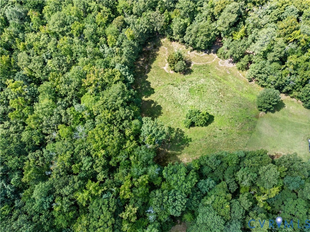 Expansive tree-lined property with a significant cleared area, offering a mixture of dense foliage and open ground