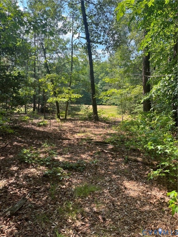 TBD Minitree Glen Lane, Providence Forge, VA 23140