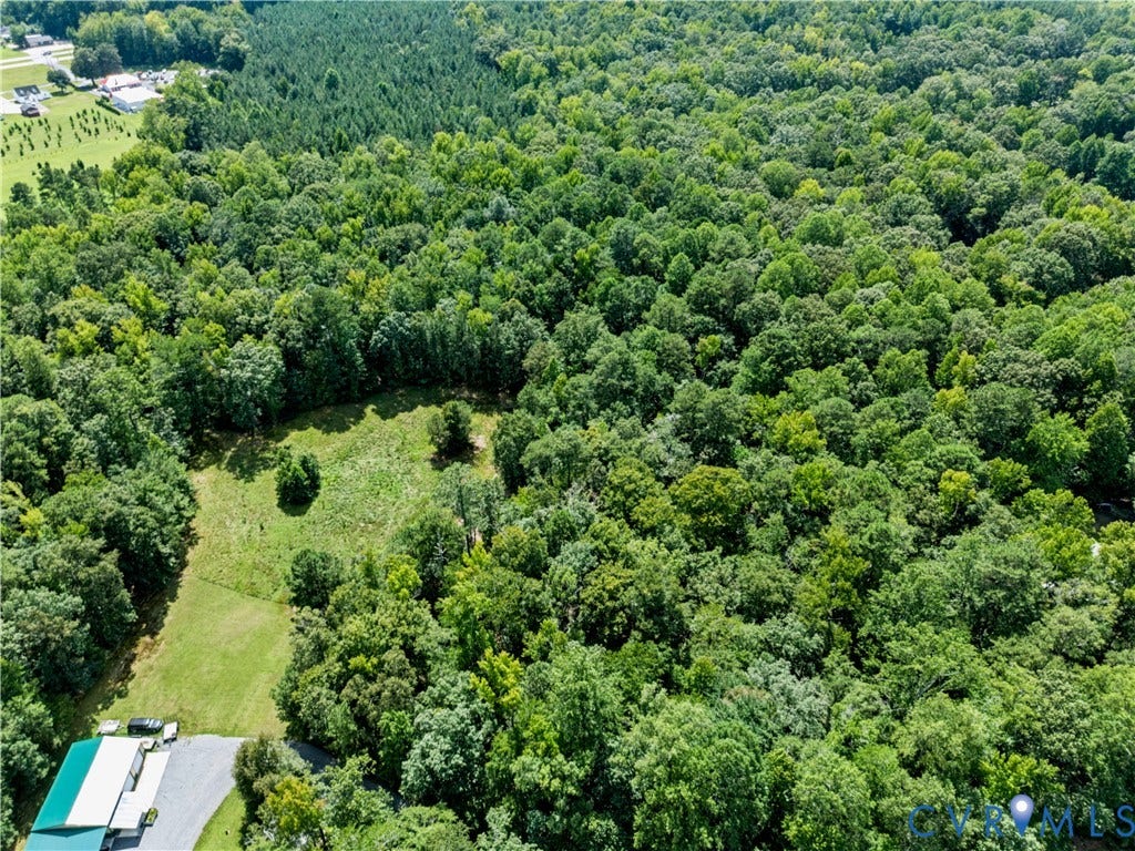 Expansive wooded acreage featuring diverse tree coverage and partially cleared areas