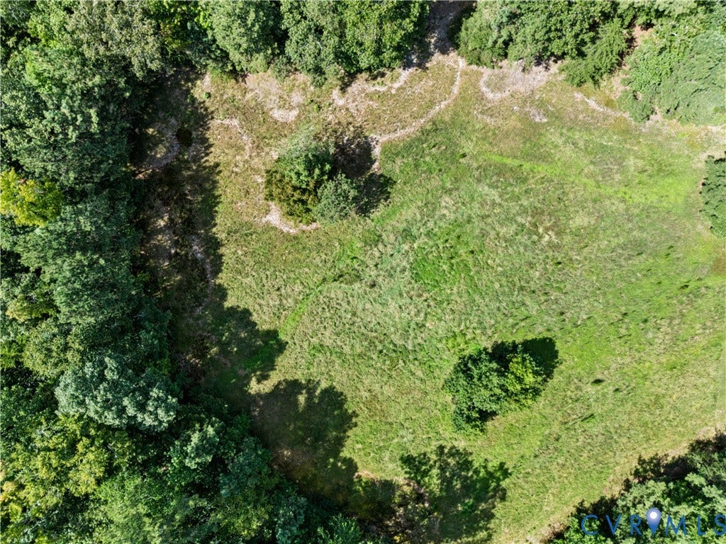 Expansive cleared lot surrounded by mature trees