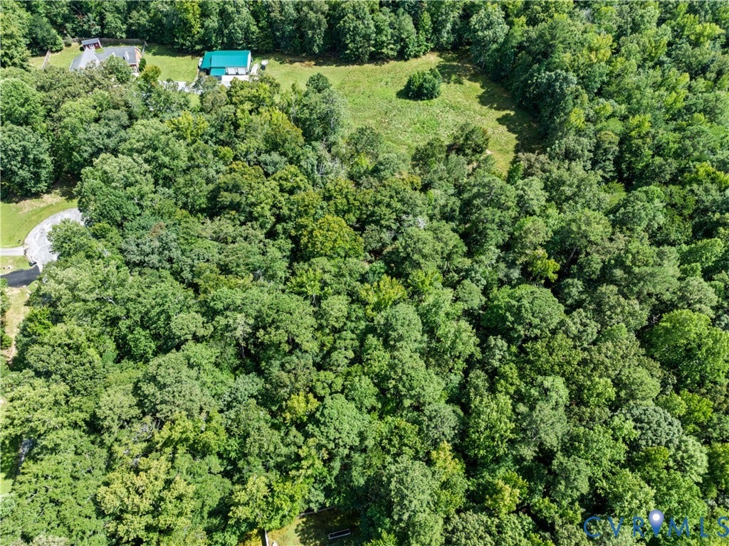 Expansive wooded property featuring a mature tree canopy and a partially cleared area