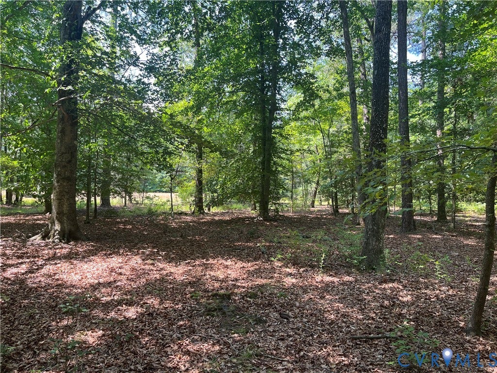 TBD Minitree Glen Lane, Providence Forge, VA 23140