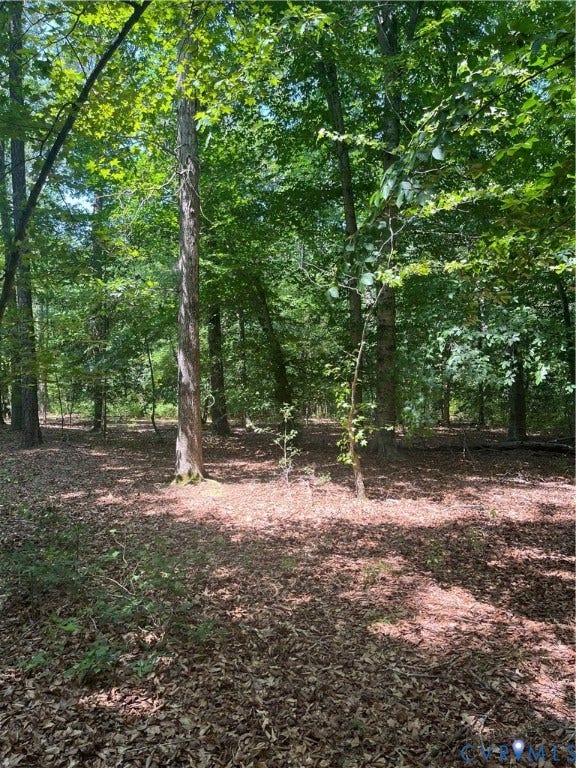 TBD Minitree Glen Lane, Providence Forge, VA 23140