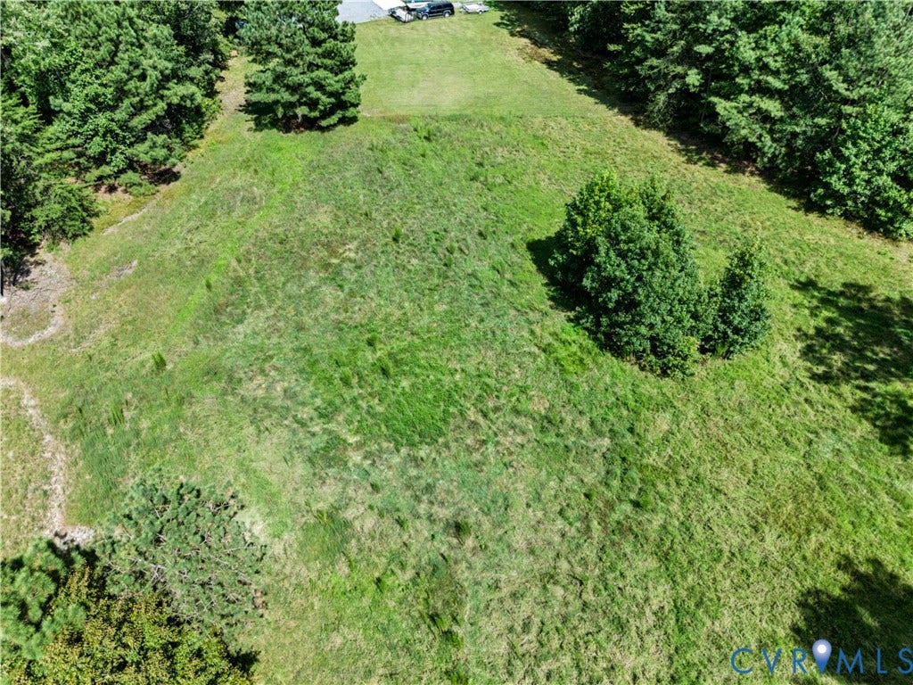 Expansive grassy terrain with scattered mature trees