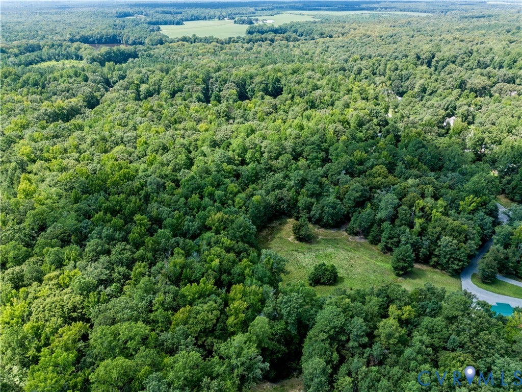 Expansive wooded acreage with a cleared building site and a paved access road