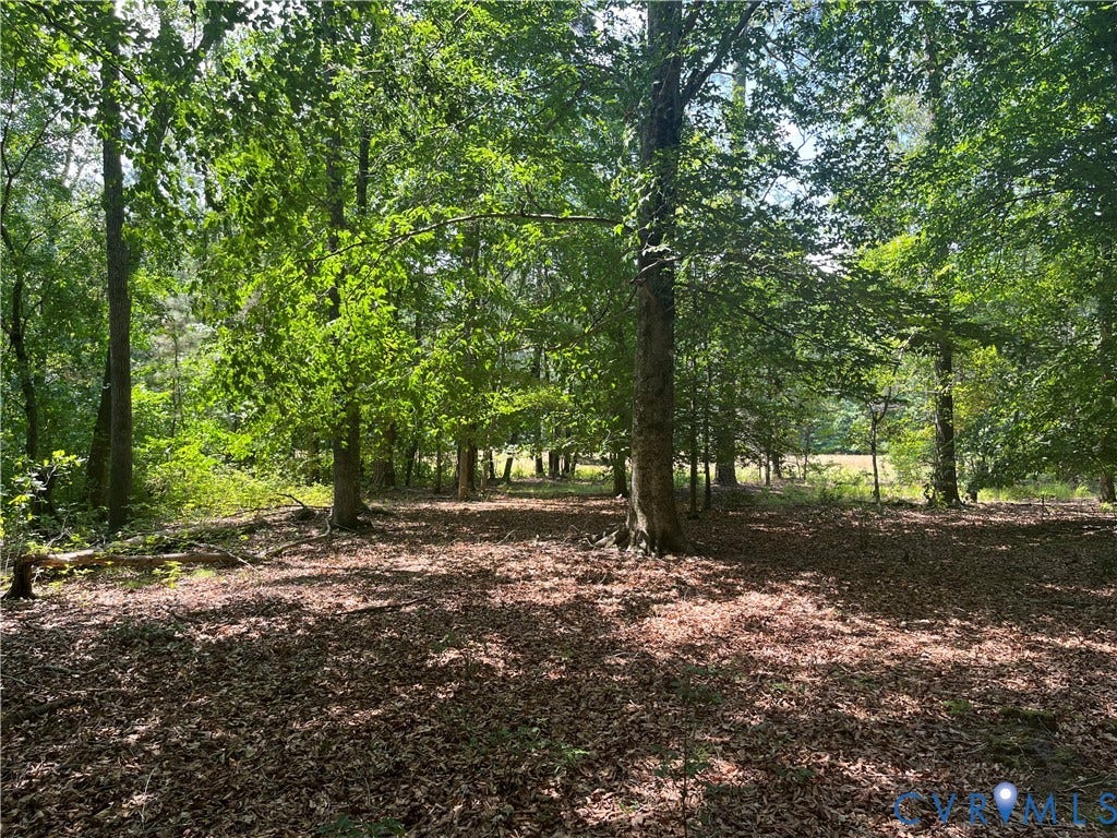 TBD Minitree Glen Lane, Providence Forge, VA 23140