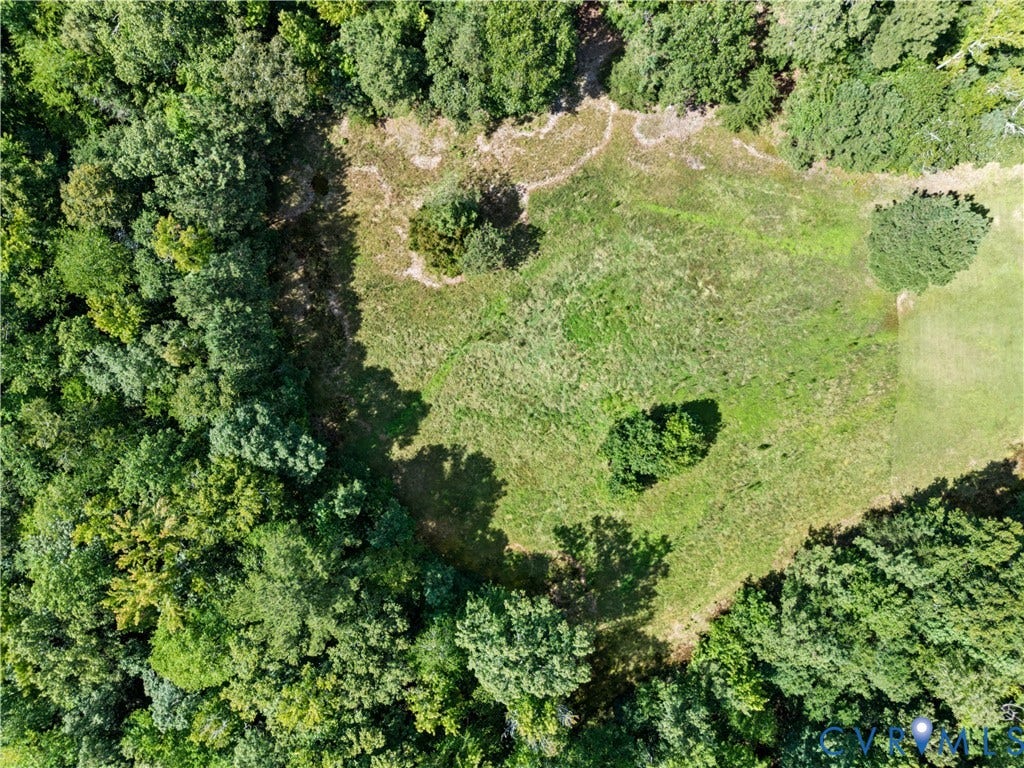 Expansive open land with varied topography, surrounded by dense mature trees, featuring a central clearing and natural foliage