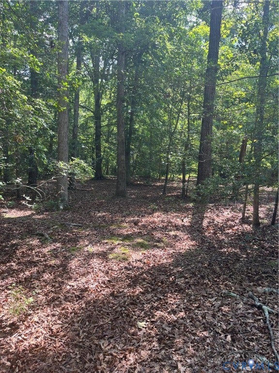 TBD Minitree Glen Lane, Providence Forge, VA 23140