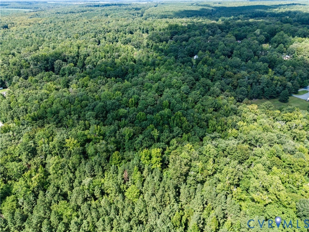 Extensive tree canopy provides natural surroundings