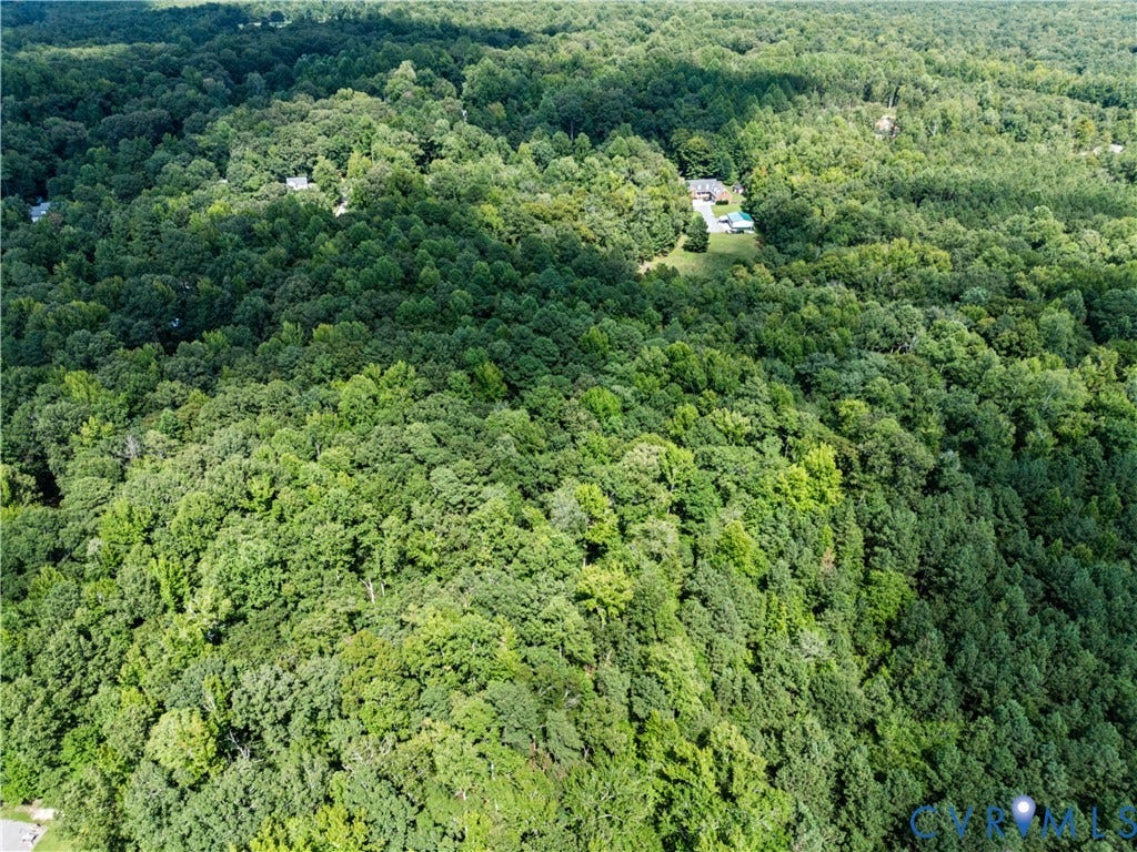 Expansive wooded property featuring a residential structure and surrounding green canopy