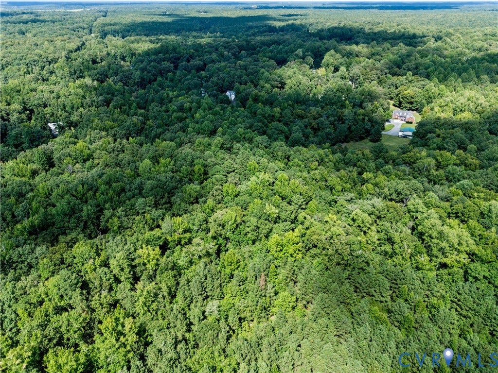 Expansive treed landscape with residential structures visible among the foliage