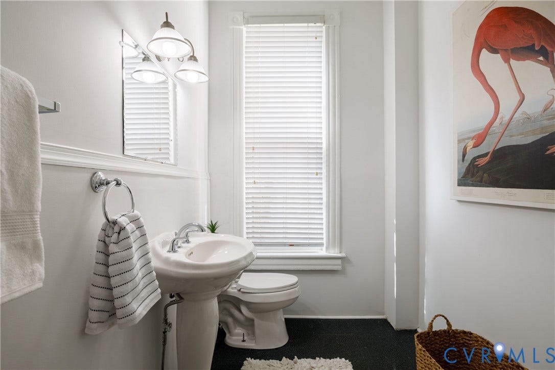 309 N Meadow Street, The Fan, Richmond, VA 23220 Powder Room