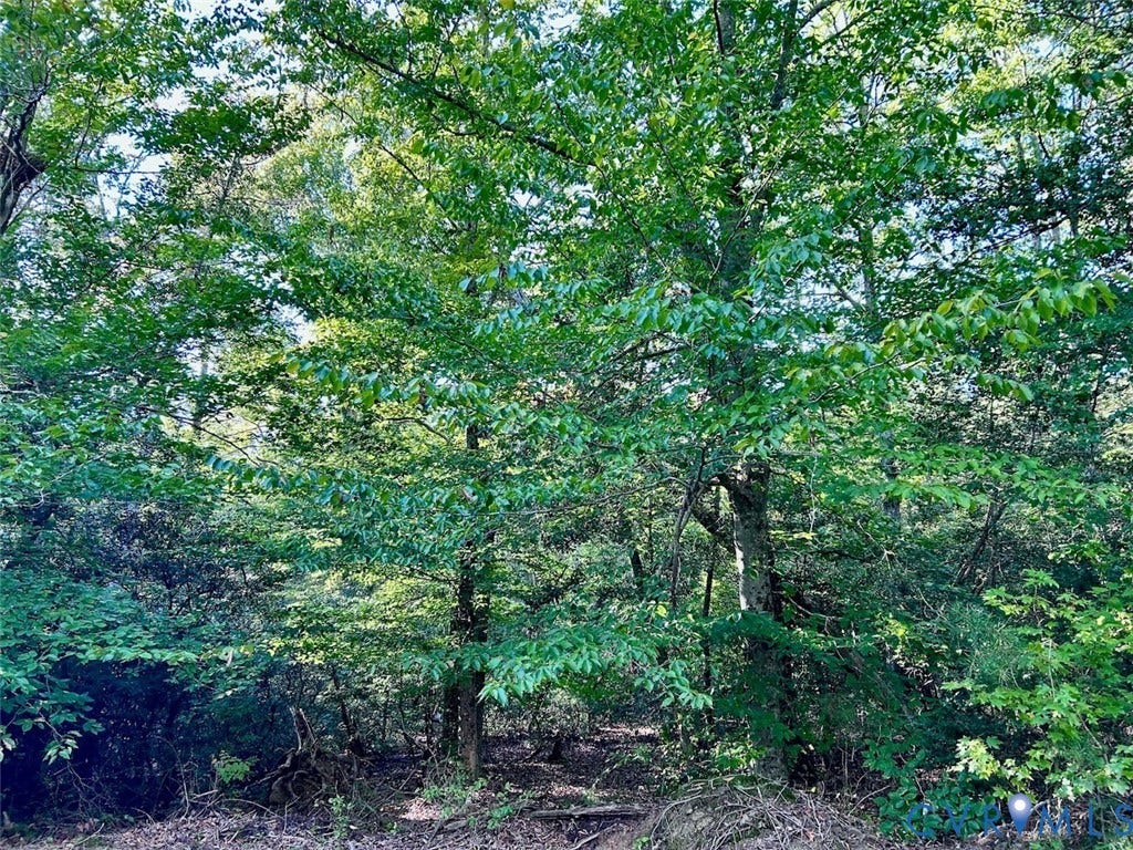 1239 Desha Road, Tappahannock, VA 22560 1239 Desha Road, Tappahannock, VA 22560