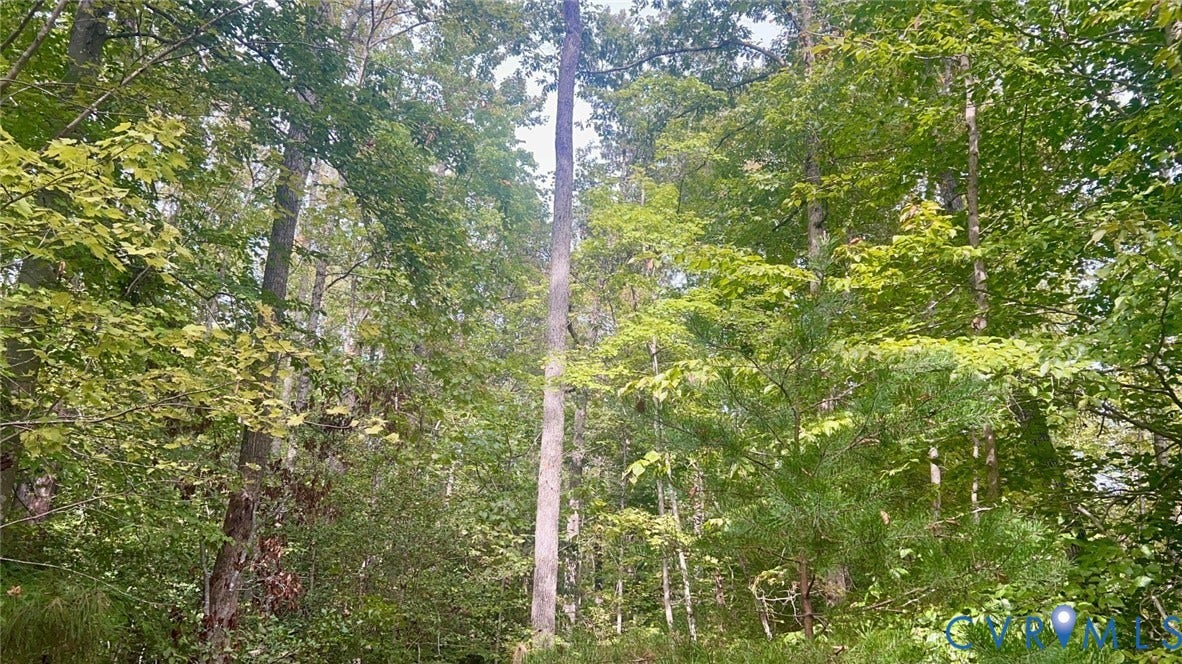 1239 Desha Road, Tappahannock, VA 22560 1239 Desha Road, Tappahannock, VA 22560