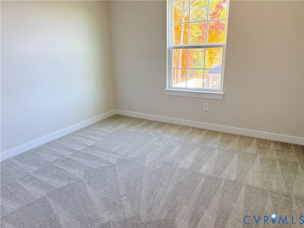 14225 Botsford Avenue, Wellspring, Chester, VA 23831 Neutral wall paint, plush carpeting, and a double-hung window featuring a grid pattern