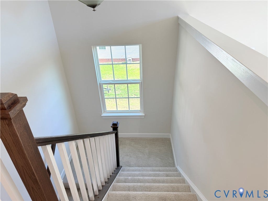 14225 Botsford Avenue, Wellspring, Chester, VA 23831 Staircase featuring carpeted steps, a stained wood handrail, white balusters, and a double-hung window