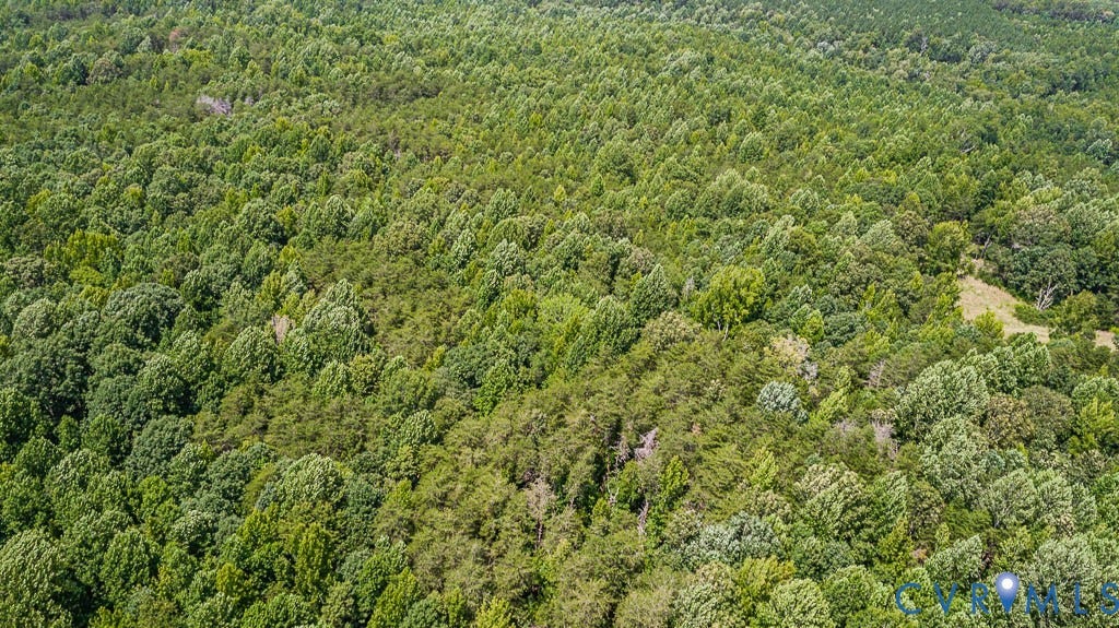 01 Chimney Springs Drive, Hadensville, Goochland, VA 23063 Expansive acreage featuring abundant mature trees