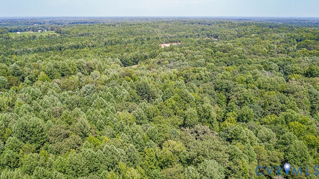 01 Chimney Springs Drive, Hadensville, Goochland, VA 23063 Expansive wooded acreage featuring diverse tree canopy