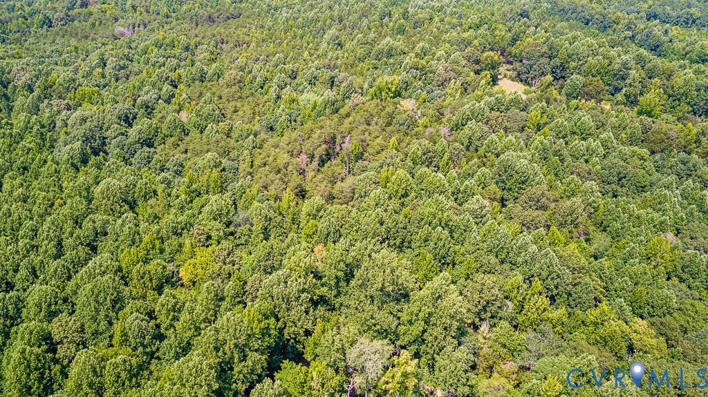 01 Chimney Springs Drive, Hadensville, Goochland, VA 23063 Expansive treed acreage featuring a natural landscape and varied foliage