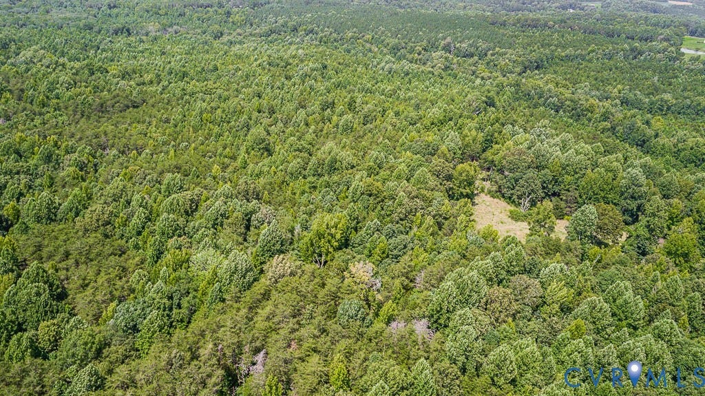 01 Chimney Springs Drive, Hadensville, Goochland, VA 23063 Expansive wooded acreage with a clearing